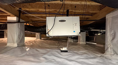 Crawlspace Dehumidification | DryWorx Asheville in Asheville, NC