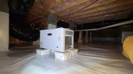 Basement Dehumidifier Installations in Asheville, NC | DryWorx