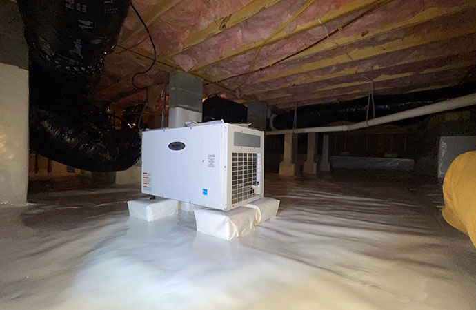 Basement dehumidifier installation services