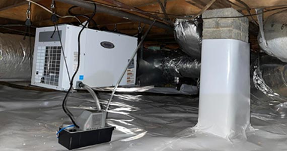 Crawl space installed dehumidifier