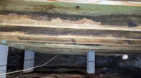 Protect Your Home from Dry Rot in Asheville | DryWorx Asheville