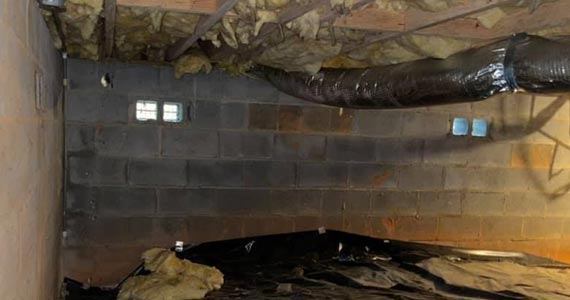 Structural repairs services